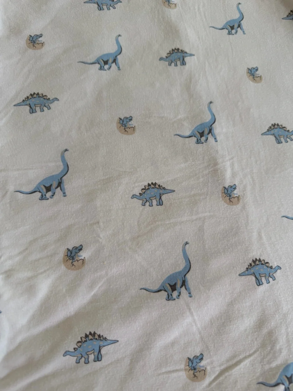 Kyte BABY White Sleep Bag (M) with Light Blue Dinosaur Print